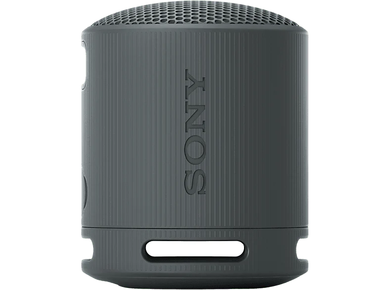 SONY SRSXB100B.CE7 - Enceinte portable Noir